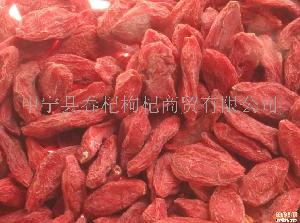 寧夏枸杞 農(nóng)副土特產(chǎn)品中的瑰寶