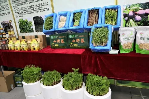 吉林有約 全民做冬丨探冬捕風(fēng)情，逛年貨盛會(huì)，盡享農(nóng)副土特產(chǎn)品