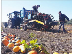 樺南唱響三農(nóng)工作主旋律 譜寫美麗鄉(xiāng)村新篇章