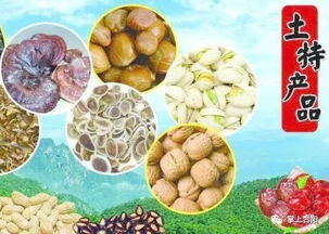 2018年陜西供銷·合陽年貨大展銷 品味農(nóng)副土特，喜迎新春佳節(jié)