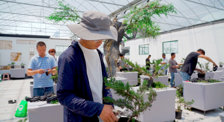 宿遷沭陽 “美麗”轉型“花”更香