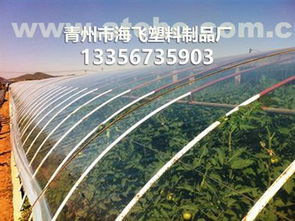 青州市海飛塑料制品廠 園藝用具供應商的熱賣促銷與產品種植方案